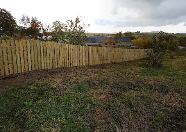 new nursery fence new nursery fence