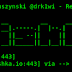 Modlishka -- Advanced Phishing | Bypass Two Factor Authentication