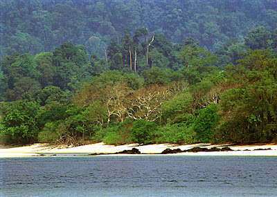 Pristine Island in the Myeik Archipelago 