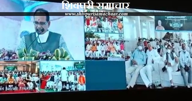 मुख्यमंत्री ने की शिवपुरी के पन्ना लाल से बात, शिवपुरी के 60 हजार किसान हुए लाभाविंत - Shivpuri News