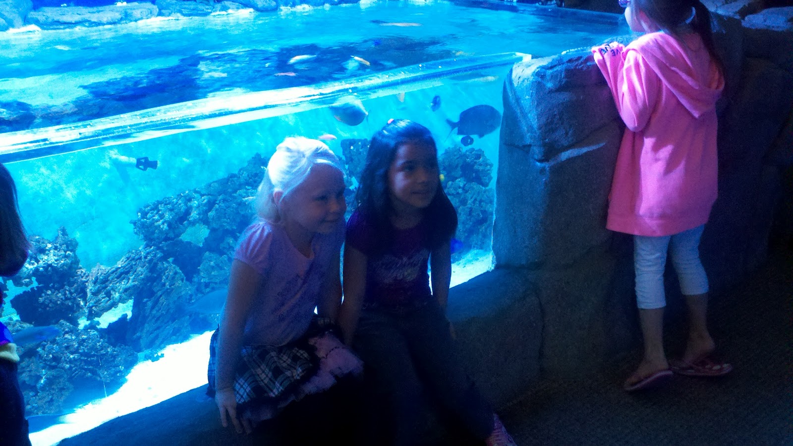 friday enrichment Boise Aquarium