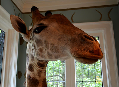 Giraffe in Summer Loftin's Room, Cathedral Antiques Show