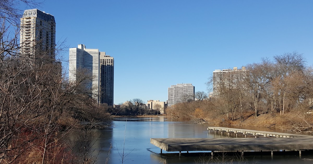 The Chicago Real Estate Local Lincoln Park highrise condo sales 2018