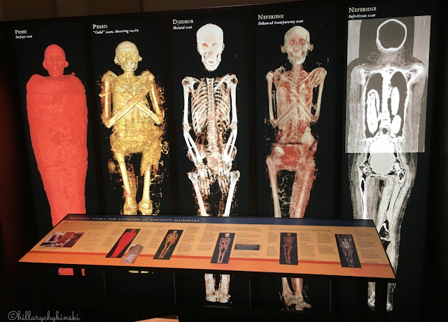 Modern Tools for Ancient Mummy Research