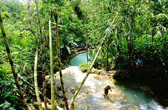 Menapaki kaki menuju bagian atas Taman Sungai Mudal Menapaki kaki menuju bagian atas Taman Sungai Mudal