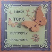 Top 3 on Butterfly Challenge
