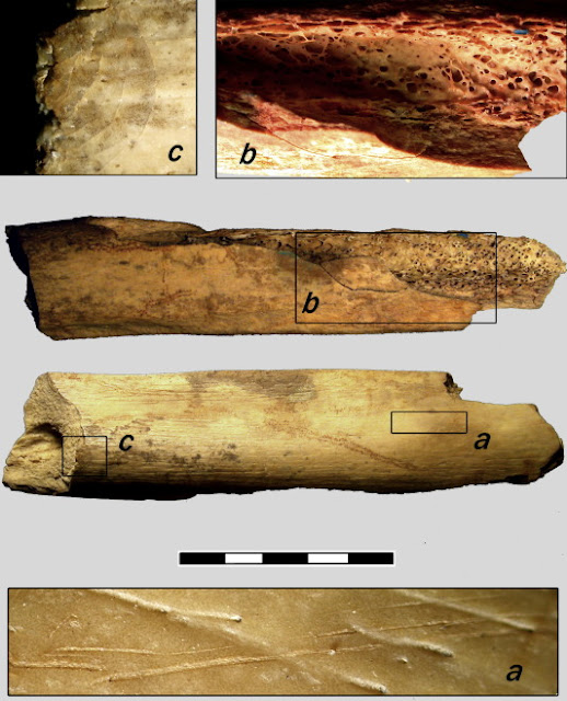 Evidence of cannibalism found in Mesolithic Spain Evidence of cannibalism found in Mesolithic Spain