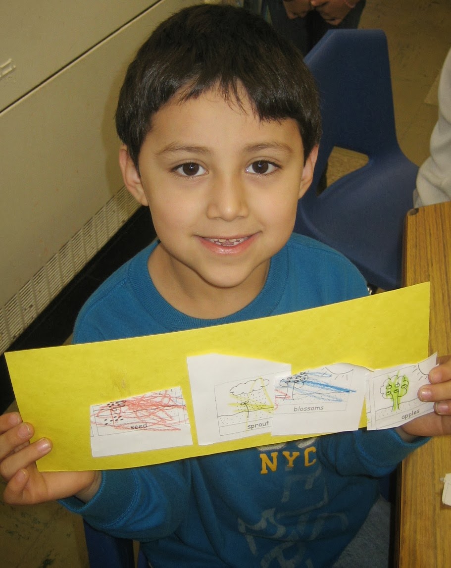 Stadium Library Goings-On: AM K Apple Tree Sequencing