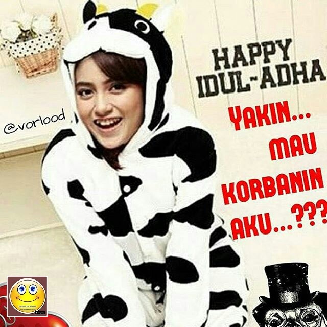 Lucu Terbaru Lucu Terbaru