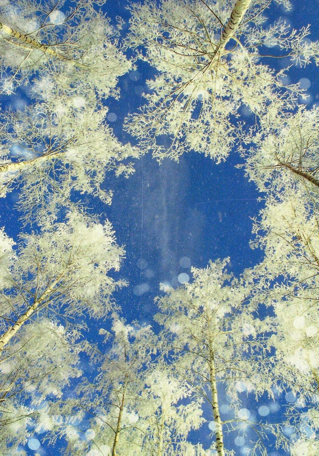 зимний пейзаж. Cold winter day. Cold winter day. Cold winter day. Cold winter day.