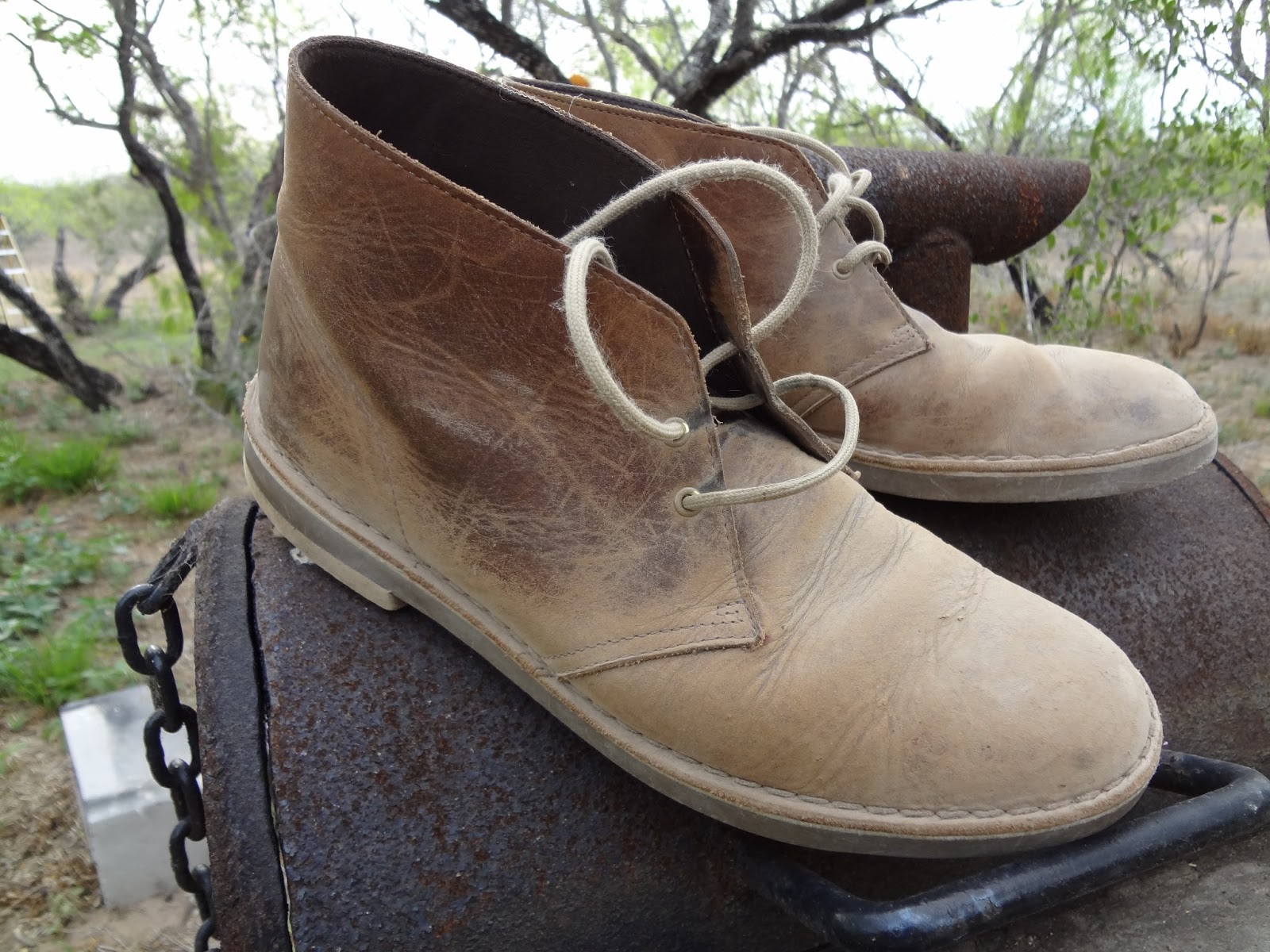 desert boots 2