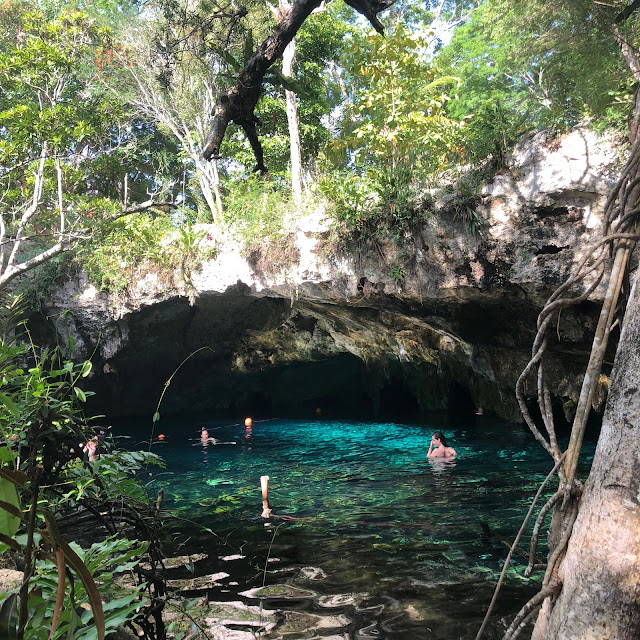 Tulum, travel guide, what to do in Tulum, Gran Cenote, cenotes
