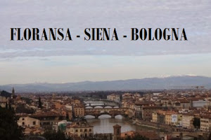 Floransa - Siena - Bologna