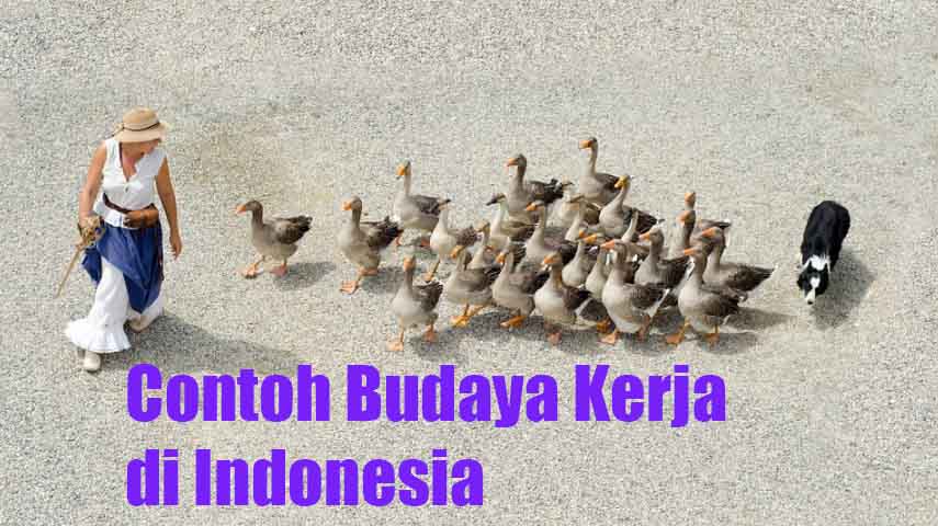 10 Contoh Budaya Kerja Di Masyarakat Indonesia Budaya Dan Kebudayaan