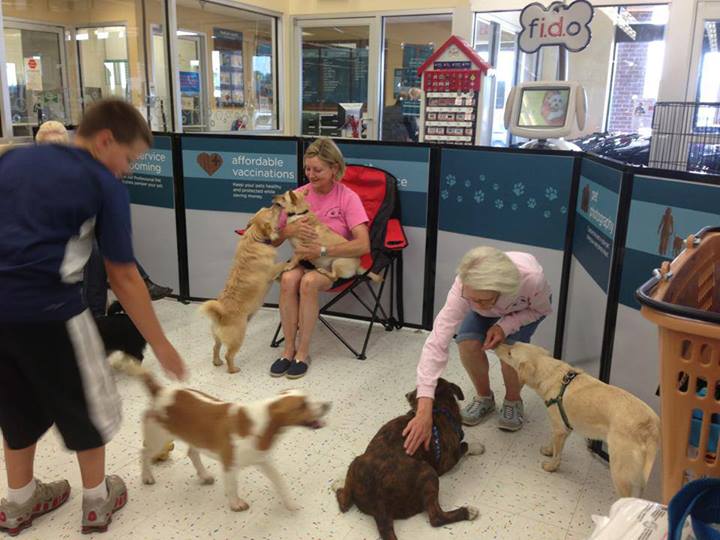 Bed and Biscuit Boarding