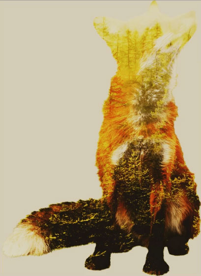 double exposure tutorial photoshop double exposure tutorial photoshop