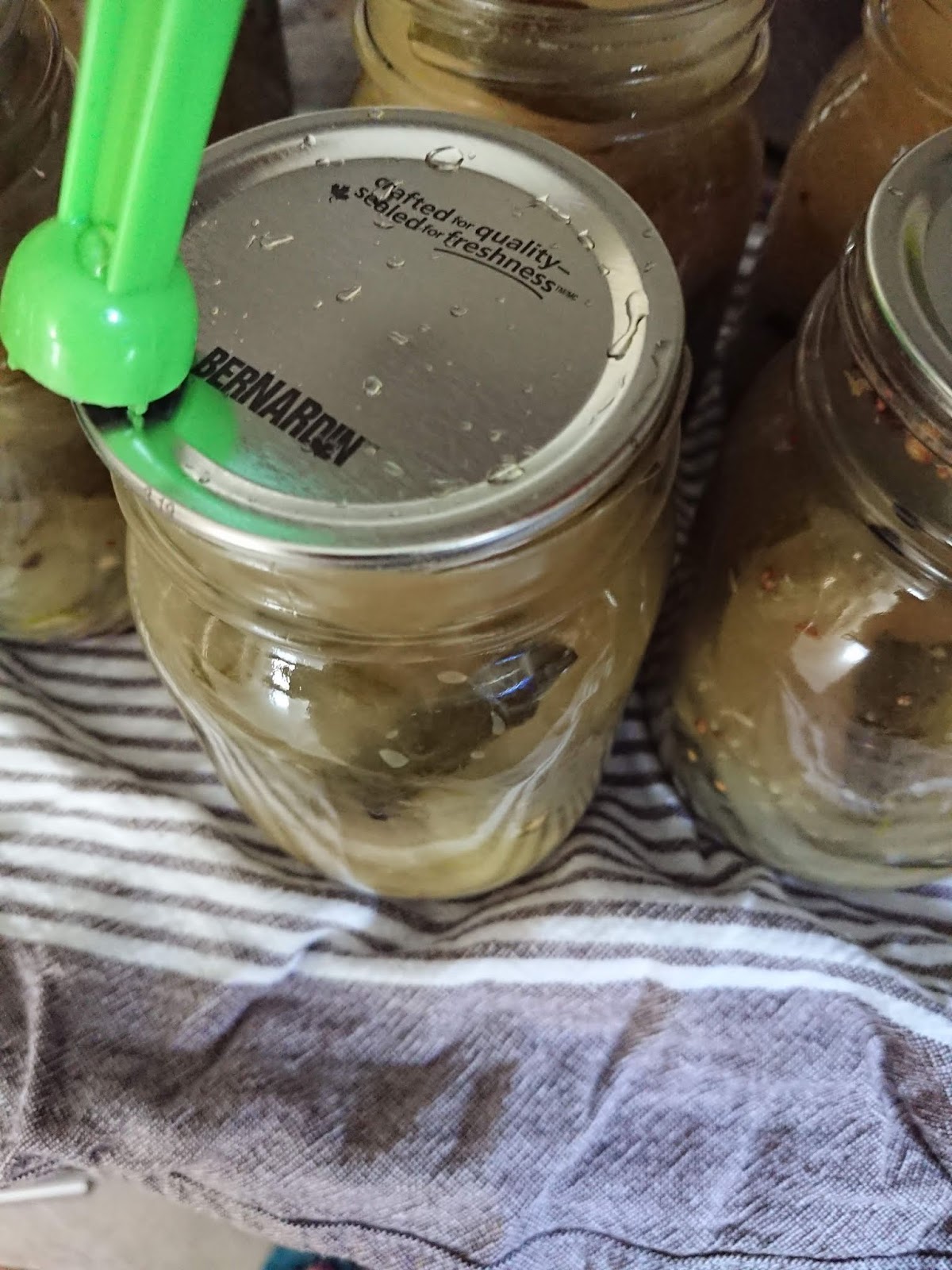 Pickling with Lemon Juice Limitless Allergies