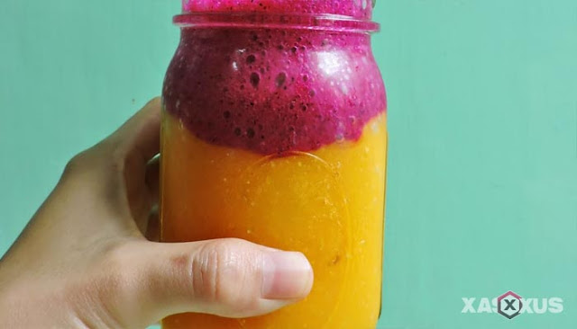 Alat Dan Bahan Membuat Jus Buah Naga Seputar Buah