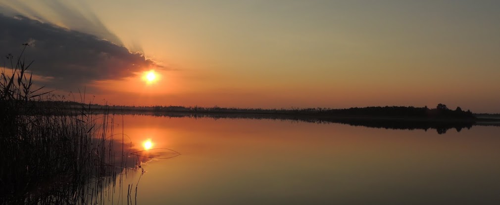 Рівненський природний заповідник