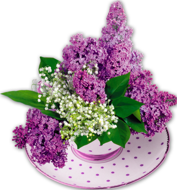 lilac in vases