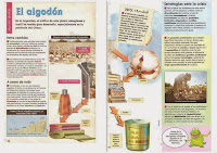 el algodon