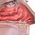 Je ne savais pas qu'en faisant seulement ça, je n'aurais plus jamais le nez bouché! Quel truc génial!