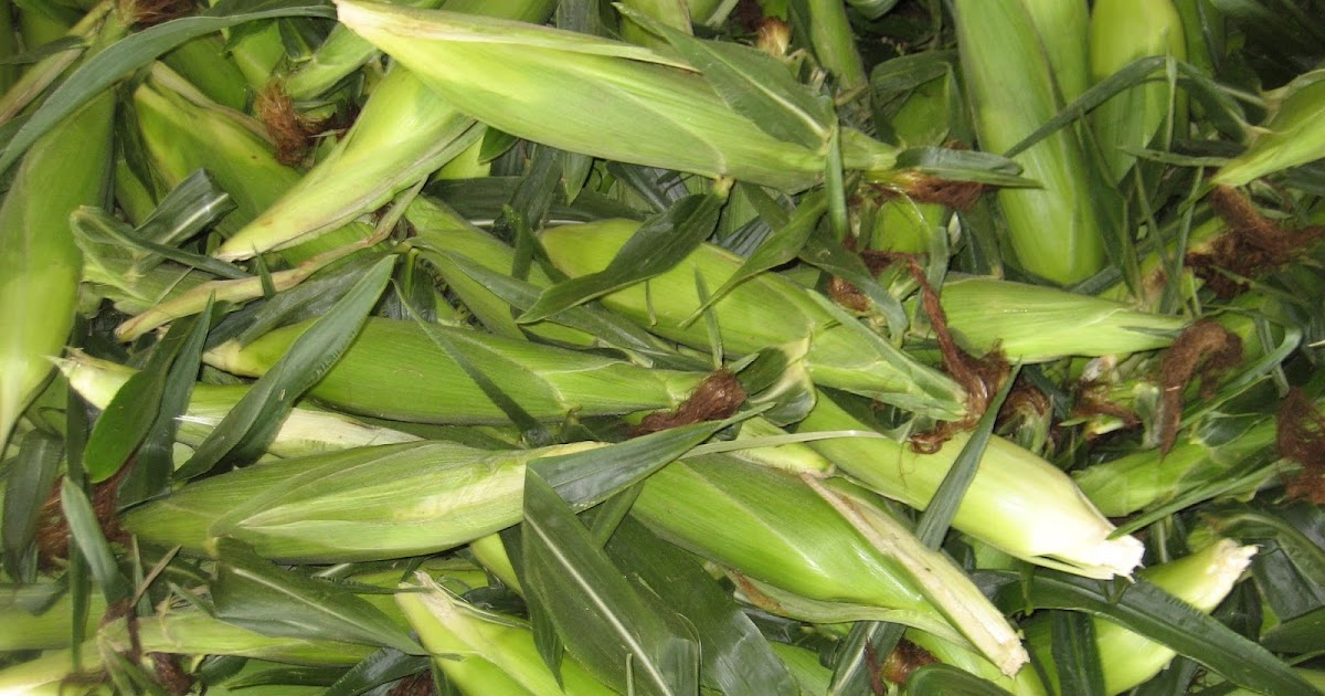Owl Creek Produce Auction Beautiful weather and abundant produce