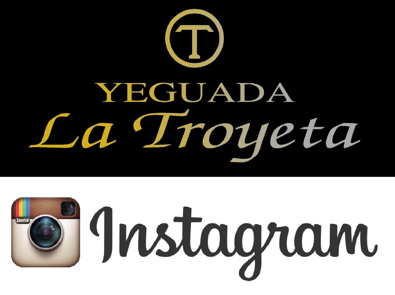 Síguenos en Instagram