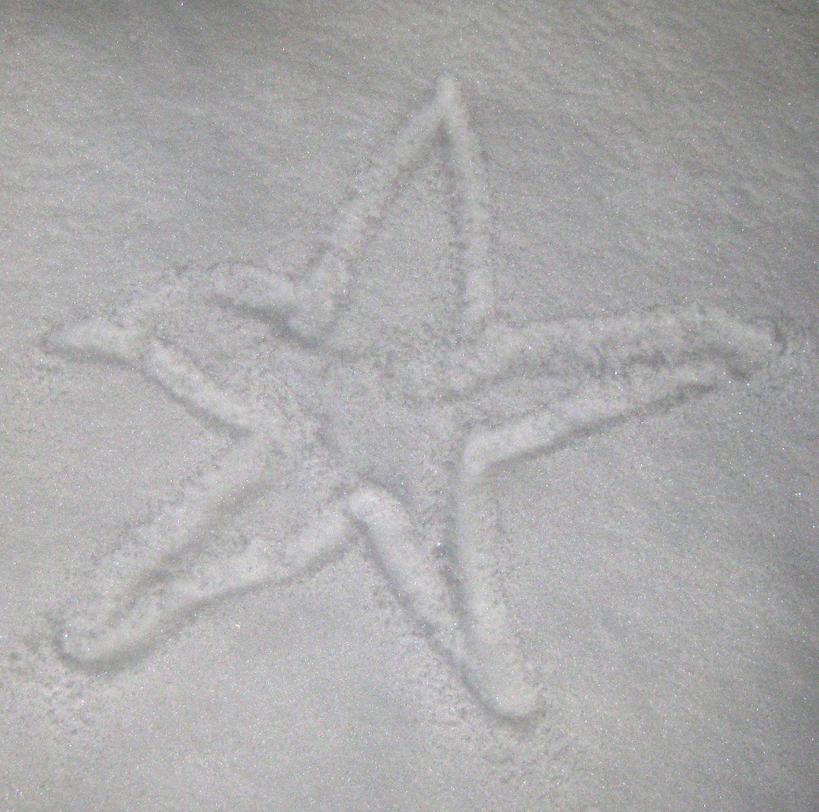365 Days of Stargazing: 168. Snow Star