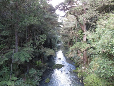 Parque AH Reed, Whangarei, Nueva Zelanda Parque AH Reed, Whangarei, Nueva Zelanda