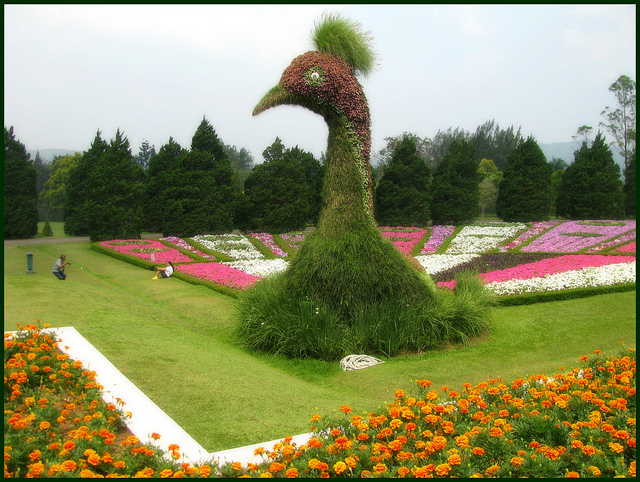 Nusantara Flower Garden | West Java Vacation Packages