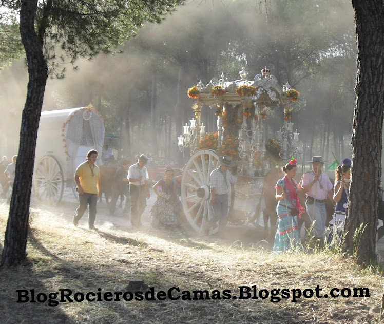 El camino de mi sueño