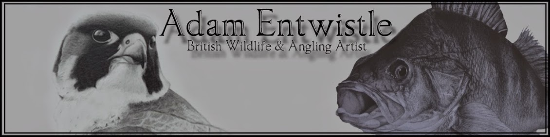 Adam Entwistle British Wildlife+Angling Artist