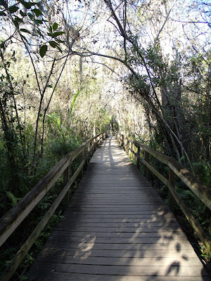 Boardwalk Boardwalk