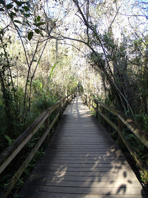 Boardwalk Boardwalk