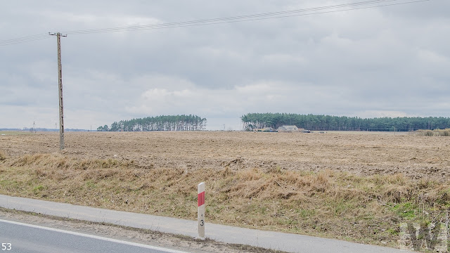 Wycinka drzew pomiędzy Pawłówkiem a Tryszczynem, obwodnica Bydgoszczy