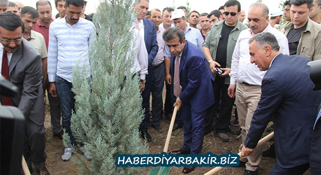 Diyarbakır Kent Ormanı’nda 15 Temmuz şehitleri adına fidan dikildi Diyarbakır Kent Ormanı’nda 15 Temmuz şehitleri adına fidan dikildi