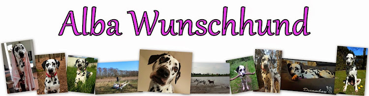 Alba Wunschhund