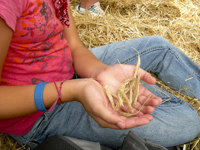 Sitting in the Hay Sitting in the hay, ranger led ride in Cades Cove