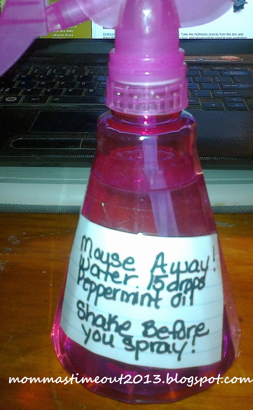 Mommas Time Out DIY Mouse Repellant Recipe