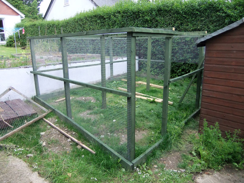 Countdown to Chickens • Lovely Greens