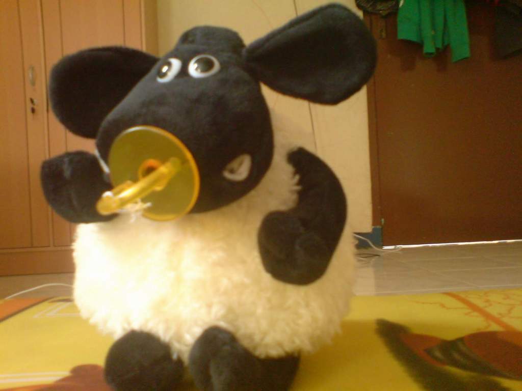 http://4.bp.blogspot.com/-Av5xMpVlwrs/TtiCJk0uOpI/AAAAAAAAEhQ/cG8hPENngcs/s1600/timmy-shaun-the-sheep.JPG