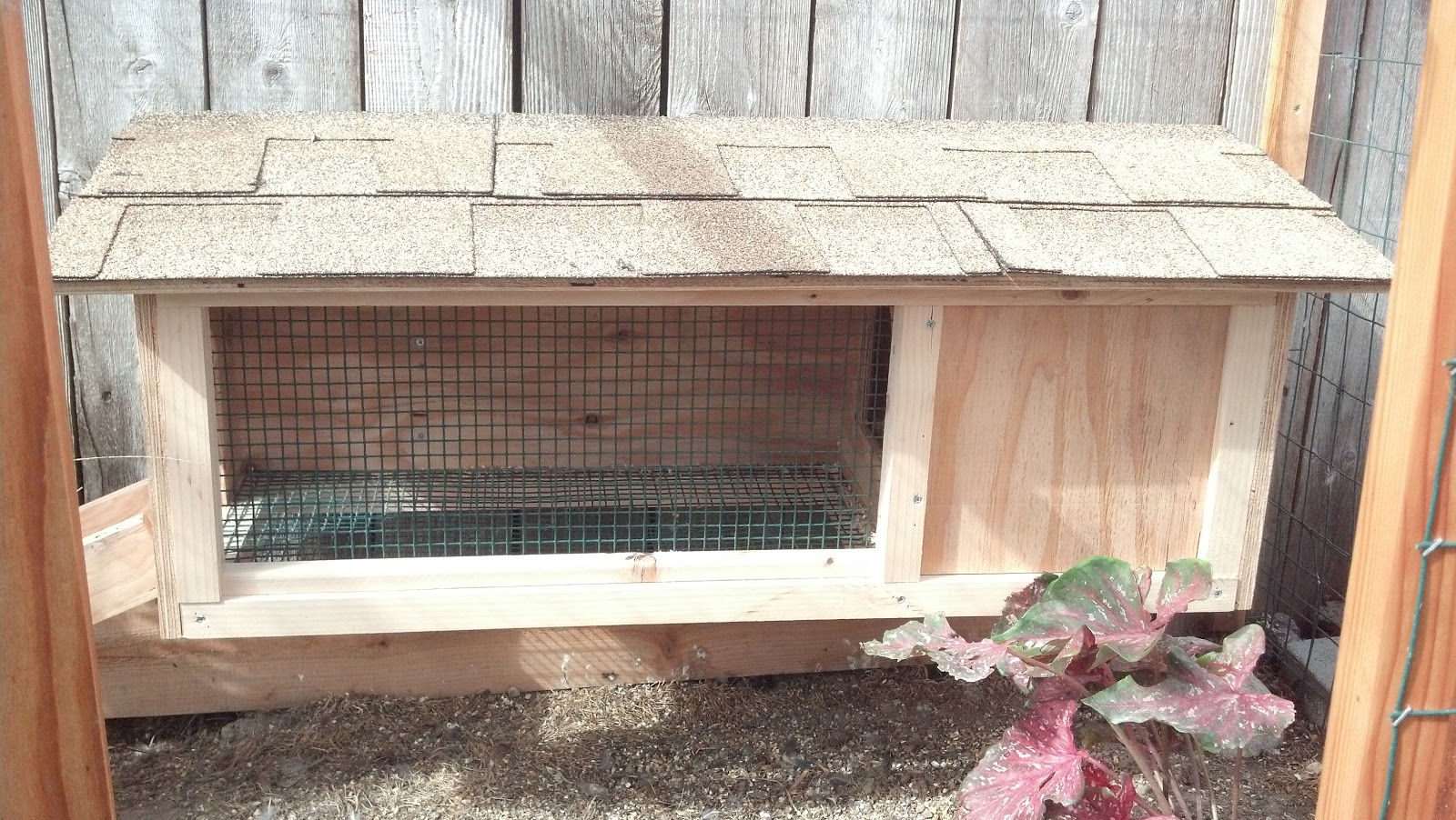 Custom wood working in Orange County! Quail or small bird coop