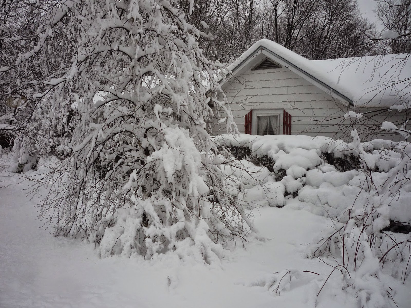 Weather in Vermont Dec 2014 Snowstorm South Burlington, Vermont