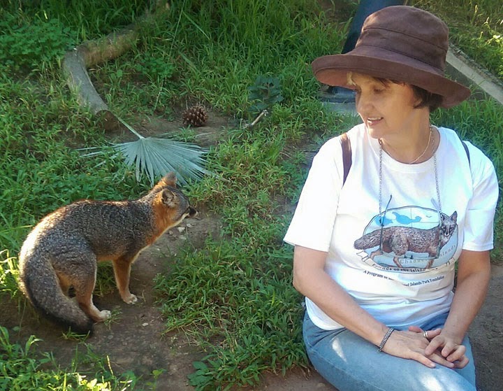 Friends of the Island Fox Friends of the Island Fox Research Grant 2019