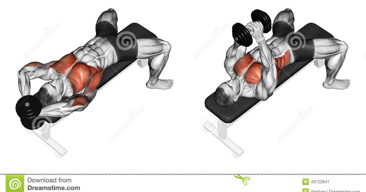 bodybuilding steps for beginners pdf