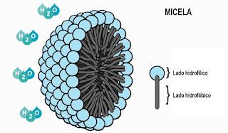 micela micellar whater; micelas; cosmetics; champo micelar