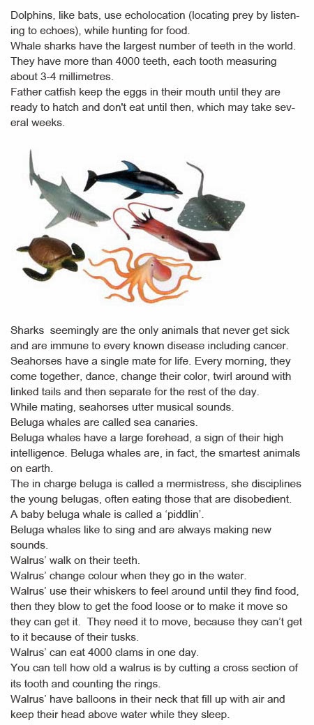 Ocean animal facts for kids