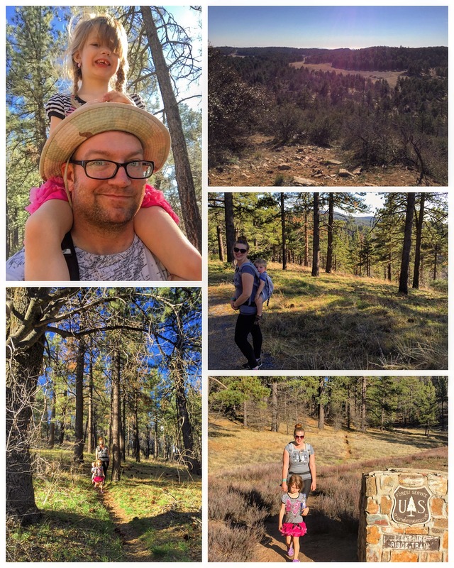 AdventureGraham Hike 14 Lightning Ridge Trail