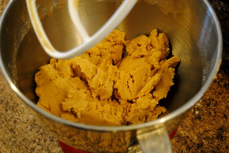 The Johnston's {Soy nut butter cookies}